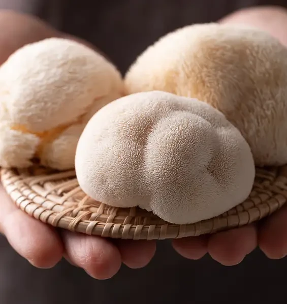 Three pale round mushrooms on a small woven tray