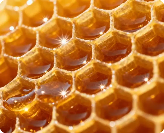 Close view of honey glistening in honeycomb cells