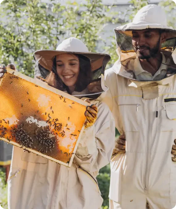 Two beekeepers inspecting a honeycomb frame together