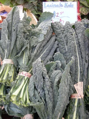 Harvested lacinato kale leaves bundled at a market