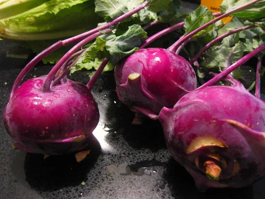 Purple kohlrabi with leafy stalks attached to the swollen stems