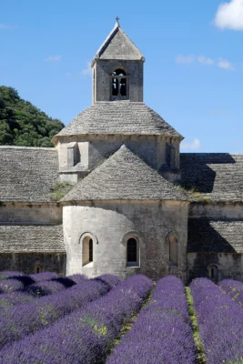 Rows of flowering lavender in front of Sénanque Abbey in France