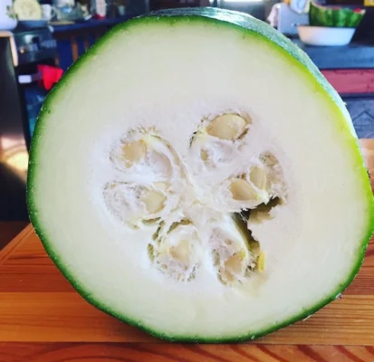 Cross section of a marrow showing pale flesh and seeds