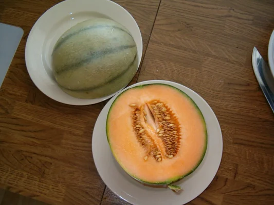 Charentais dessert melon with orange flesh