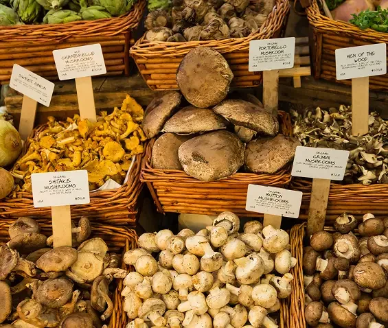 Different mushrooms displayed in baskets at a market stall