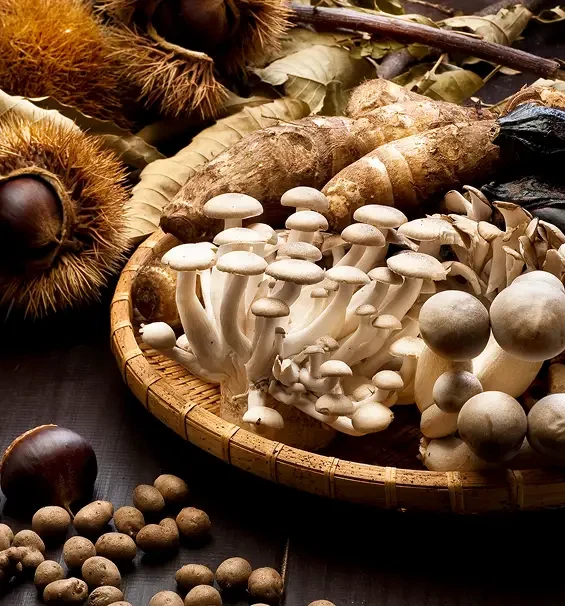 Assorted mushrooms arranged in a shallow woven basket