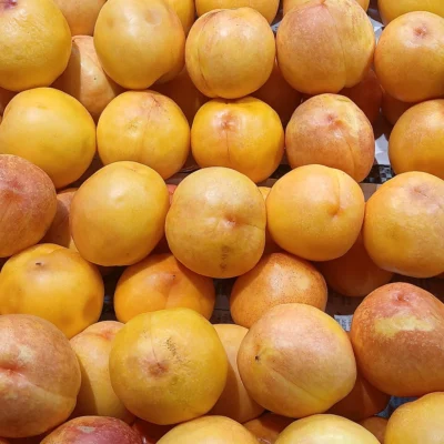 A pile of yellow skinned nectarines
