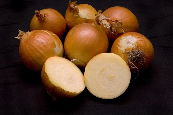 Golden brown onion bulbs with papery skins