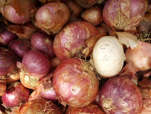 Red and pale onion bulbs piled together
