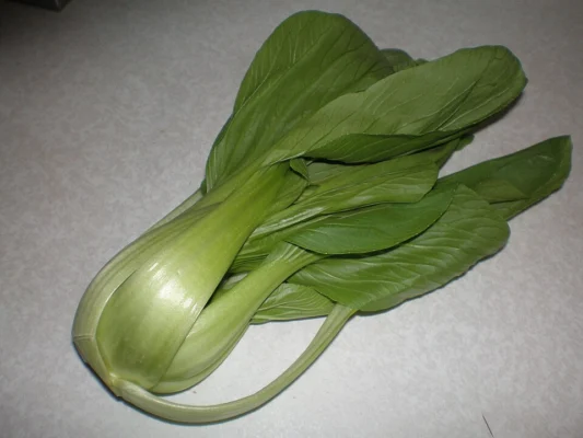 A harvested pak choi head with green leaves and pale green stems