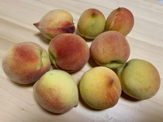 Peach fruits with velvety skin