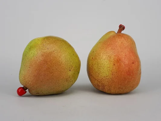 Two rounded Comice pears with green yellow and red flushed skins