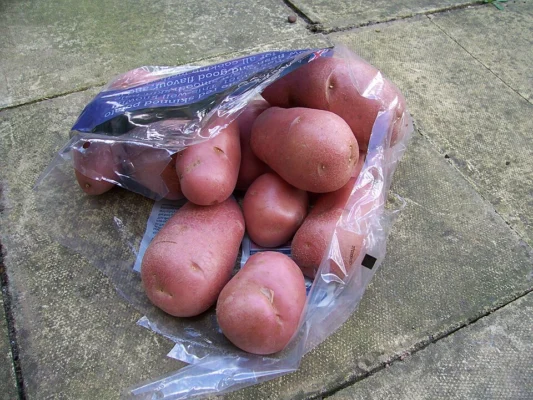 Red skinned Desiree potatoes tipped from a produce bag