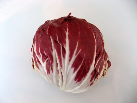 A whole red radicchio head with broad white ribs