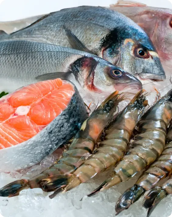 Whole fish, a salmon portion and prawns displayed on ice