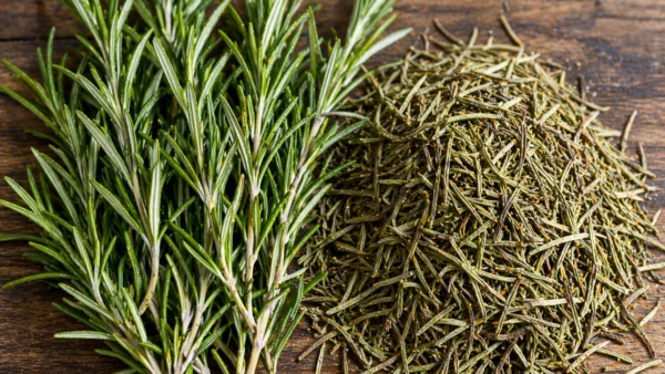 Fresh rosemary sprigs beside dried rosemary leaves on a wooden surface