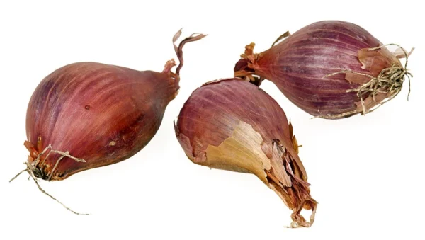 Three whole shallots with dry reddish skins