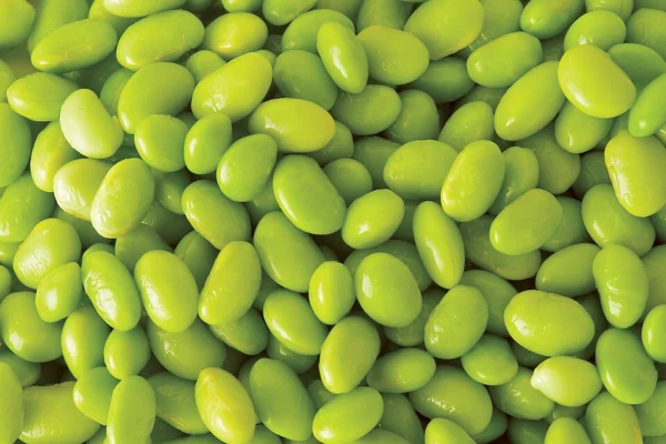 Shelled green edamame beans viewed closely