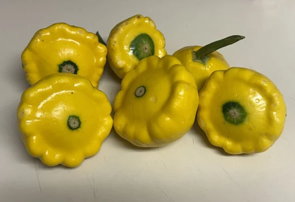 Yellow Golden Bush patty-pan squash on a plate