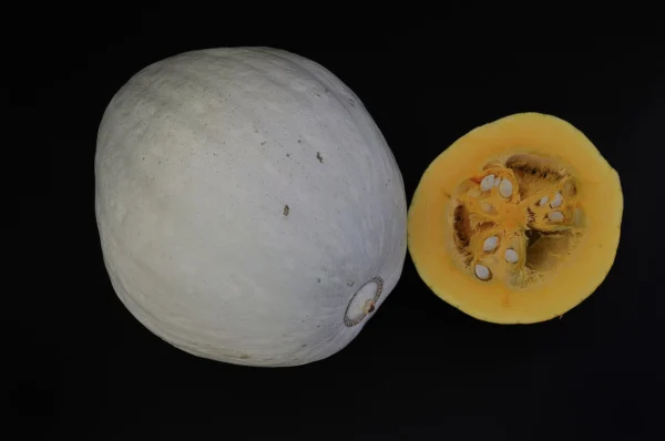 A pale grey Hopi squash beside a cut portion showing its yellow-orange flesh