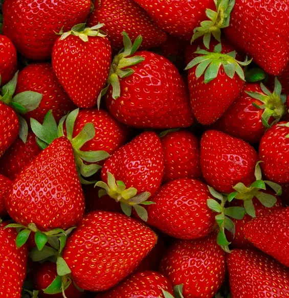 Ripe red strawberries with green leaves