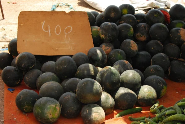 Whole dark-skinned watermelons arranged at a produce stall