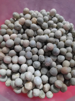 Round dried peas gathered in a bowl