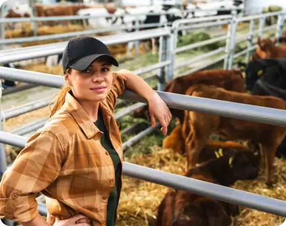 A woman standing beside cattle pens